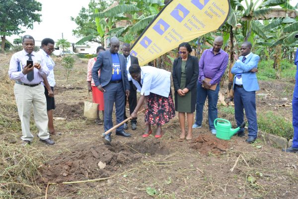 The Vice Chancellor- Professor Mauda Kamatenesi participates in teh tree planting activity as the Ag. Executive Director Peace Kabunga looks on.