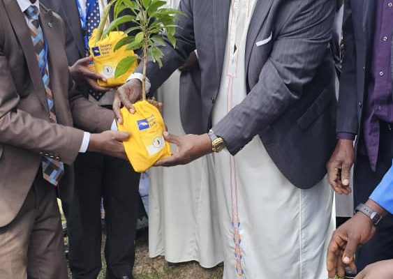A team from Housing Finance Bank plants a tree with His Highness, the King of Kooki Kingdom, Apollo Ssansa Kabumbuli II.